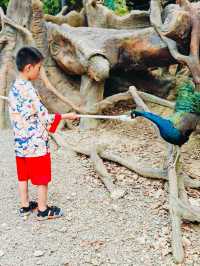 安吉嘉樂比萌寵樂園：超萌超可愛嘅毛茸茸小動物