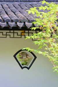 嘉興嘅環湖綠道，醫好我嘅近視呀