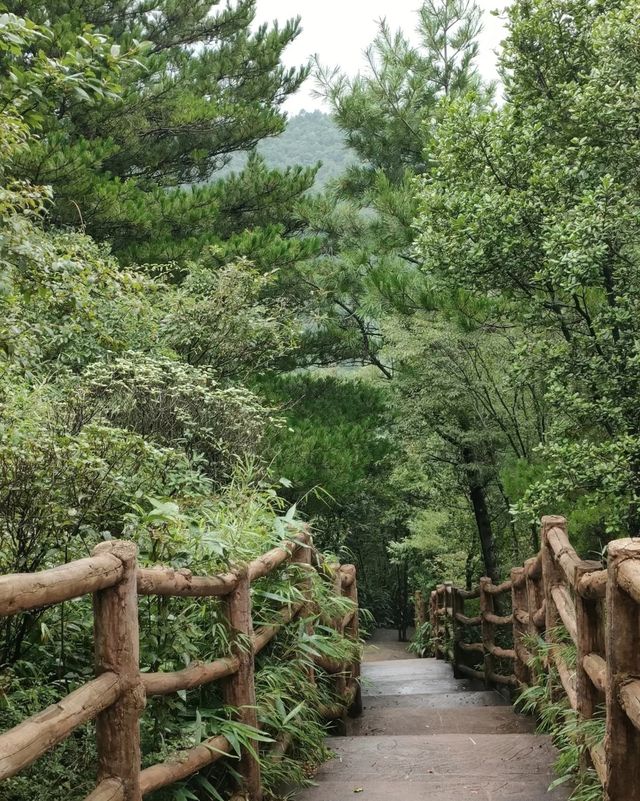探秘川東「小峨眉」：達州八台山深度遊記