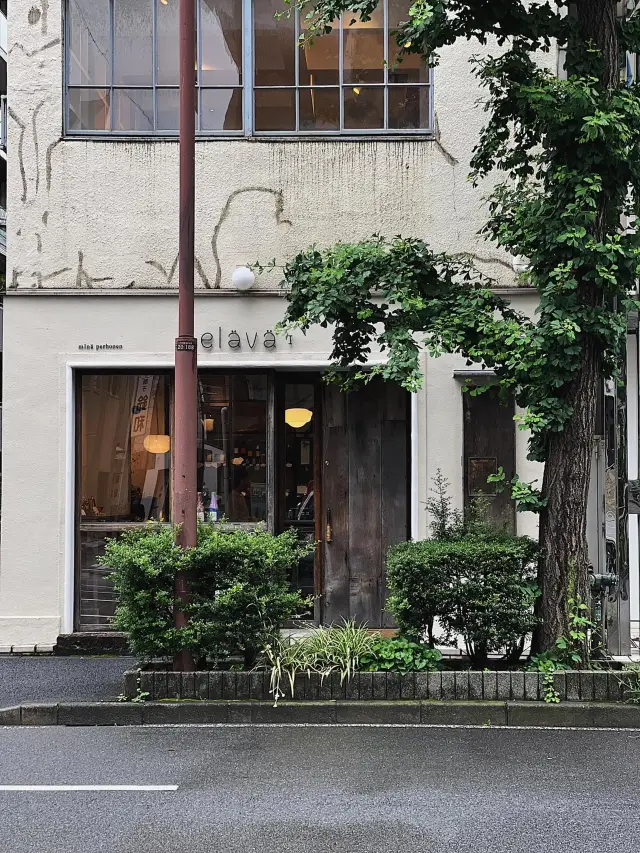 A Must-Visit for Akira Minagawa Fans in Tokyo! Ultimate Guide to the mina perhonen Pilgrimage Route