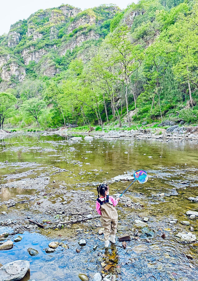 免費玩水撈魚！快樂夏日又又又嚟啦～～