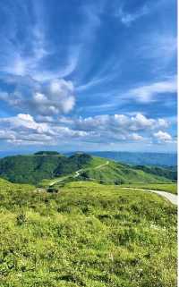 探索山野清新之旅