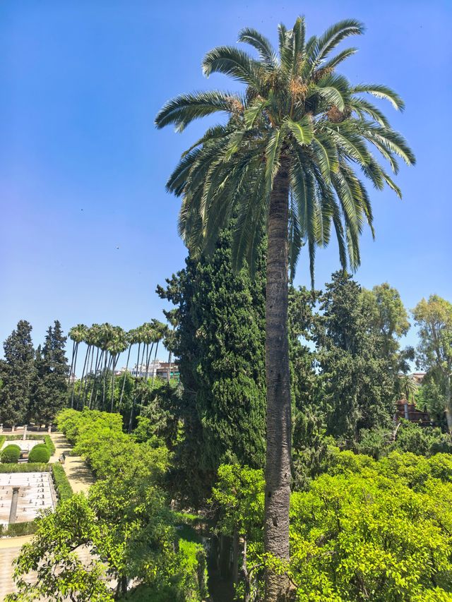 西班牙塞維利亞王宮後花園