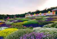 漫花莊園