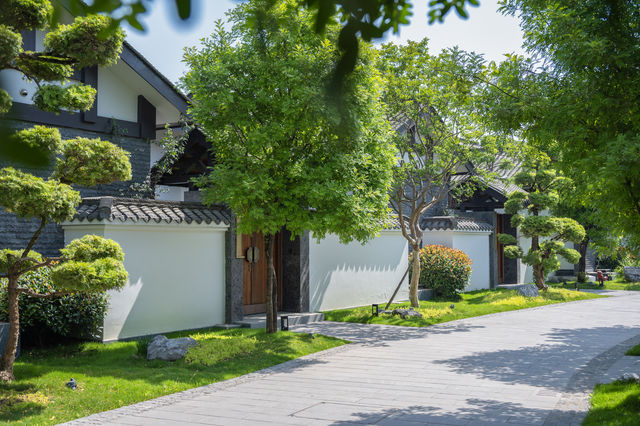 喺三星堆旁邊挖到寶喇！莊升曉月住到唔想走~