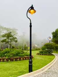 Free City Walk in Hong Kong From Central to Victoria Peak!