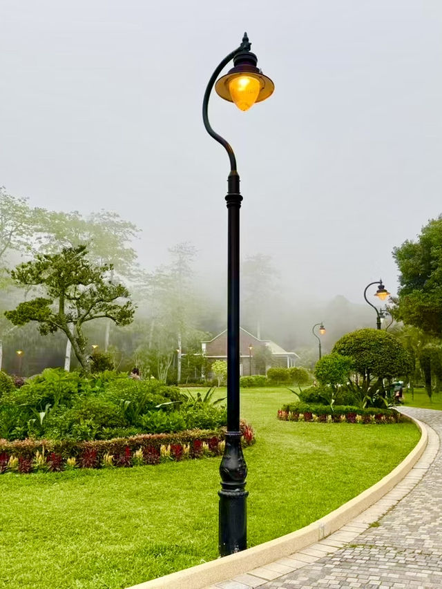 Free City Walk in Hong Kong From Central to Victoria Peak!