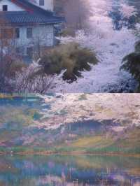 南京玄武湖 | 必睇超全旅遊攻略