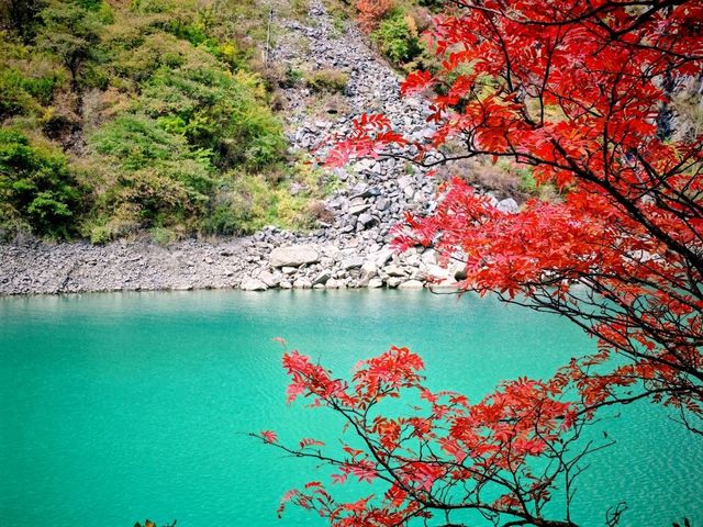 松坪溝深度遊記｜避開人潮的秘境指南
