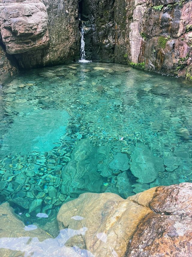 莫干山碧坞龍潭｜0元玩水秘境！獨享「竹林瀑布