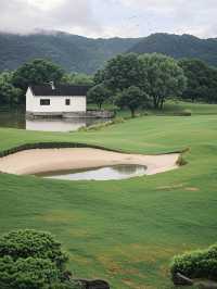 杭州仙境暴擊！娃兒喺富春山居將睡蓮池當成龍王澡堂