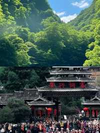 都君已回，講啲難聽嘅大實話