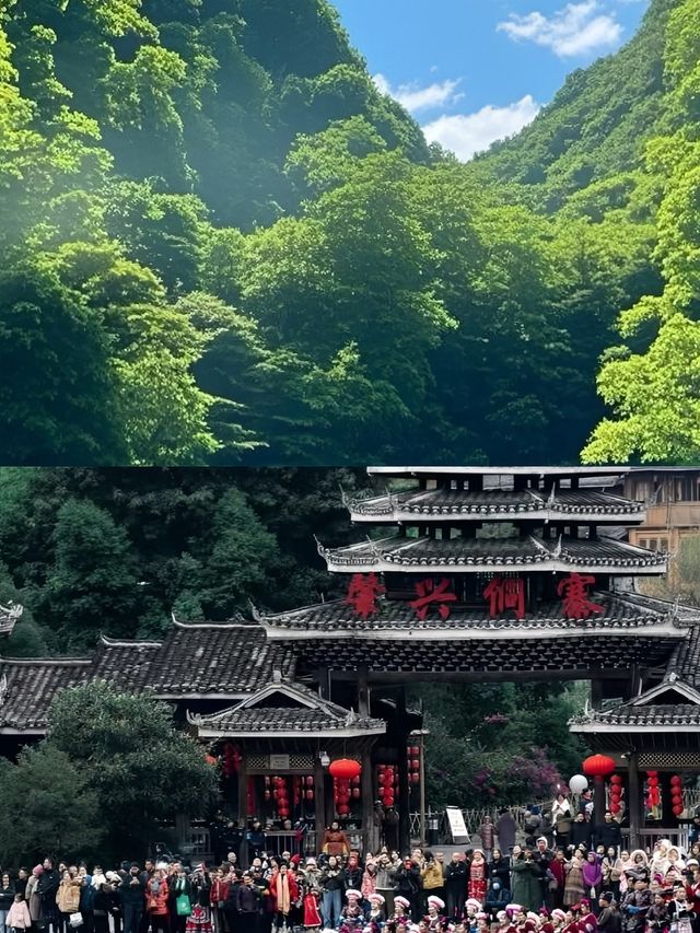 都君已回，講啲難聽嘅大實話