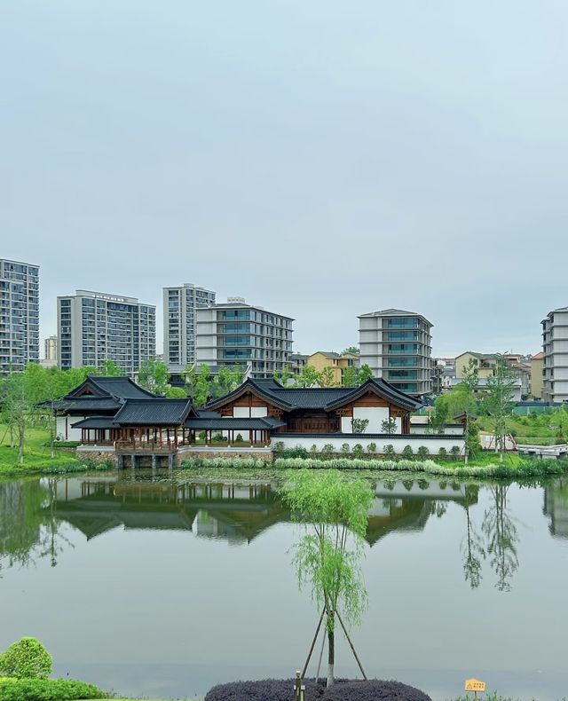 救命！被金華芙峰公園美到喊！附神仙酒店攻略