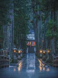 熊野古道｜遇見神明散步嘅森林