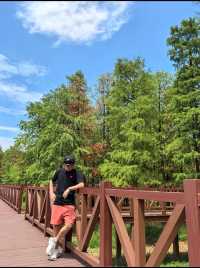 四明山國家森林公園遊玩攻略