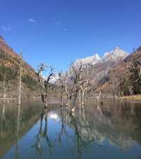 四姑娘山旅行攻略｜人均500玩轉「東方阿爾卑斯」