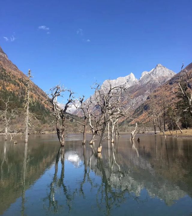 四姑娘山旅行攻略｜人均500玩轉「東方阿爾卑斯」