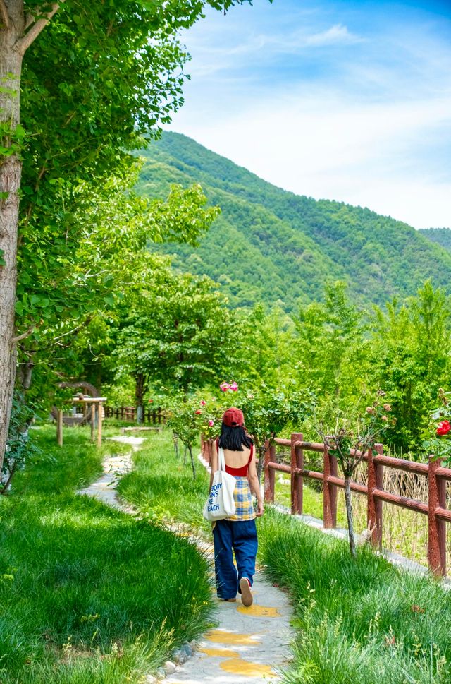 22℃嘅夏天！秦嶺留壩令青城山「輸到貼地」