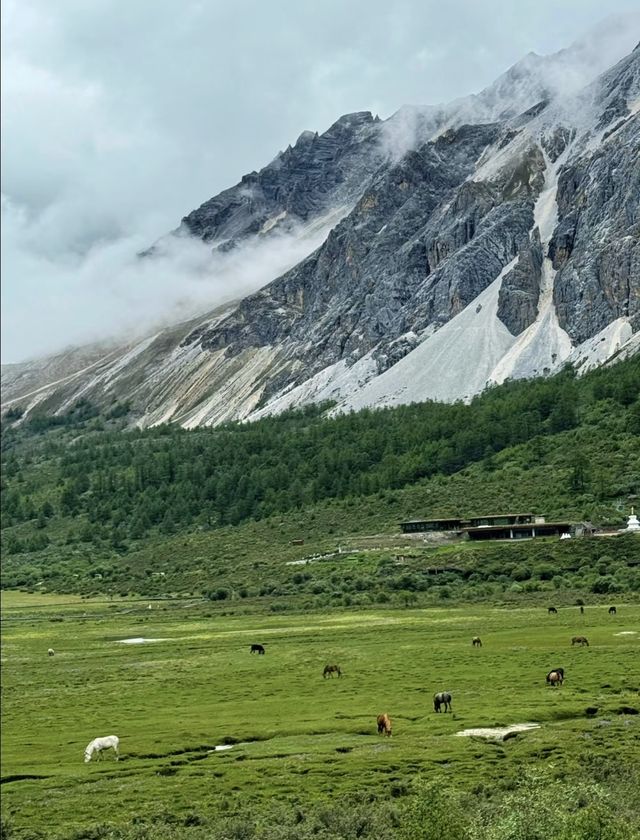 稻城亞丁從你的全世界路過