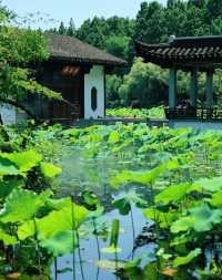 7日暢遊杭州-蘇州-上海 玩轉不停歇