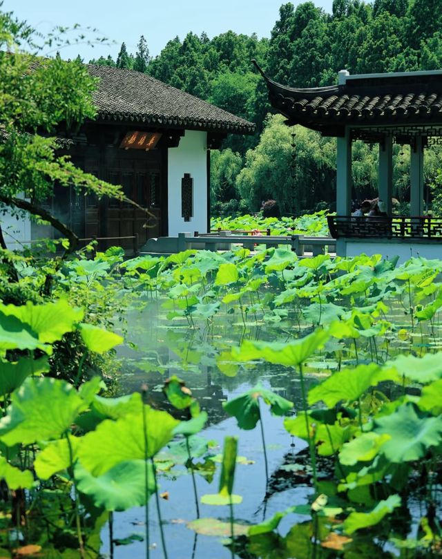 7日暢遊杭州-蘇州-上海 玩轉不停歇