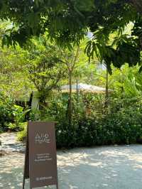 🌿曼谷綠意秘境｜在ALLO HOUSE喝一杯陽光與樹影☕️