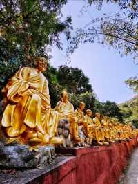 香港の霊峰・獅子山に佇む「万仏寺」の静寂体験】**