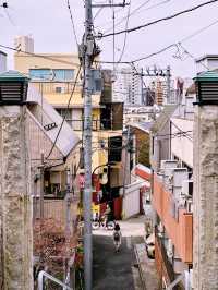 神楽坂の魅力を満喫！江戸情緒とモダンが融合した街歩き】**  