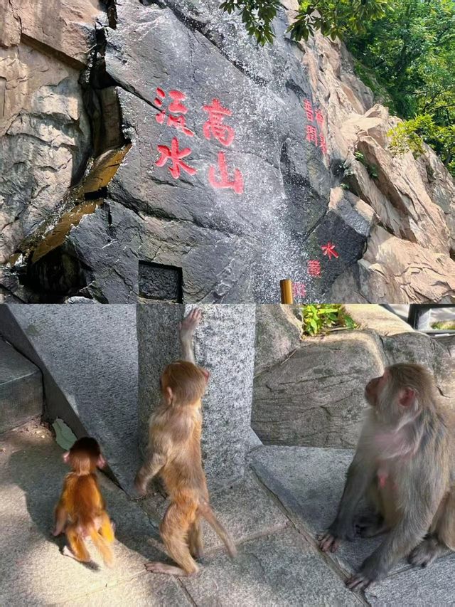 高鐵直達！江蘇呢座海濱小城被嚴重低估，靚到似開咗「濾鏡」！