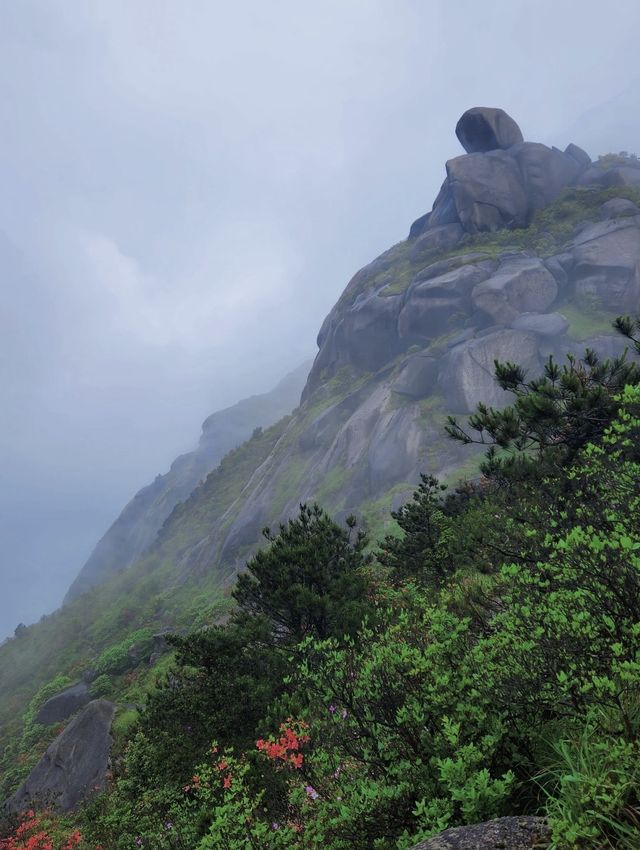 龍岩夏季遊玩必去景點！