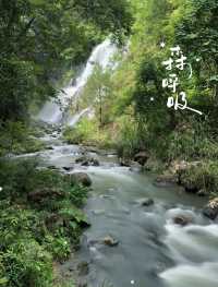 龍岩夏季遊玩必去景點！