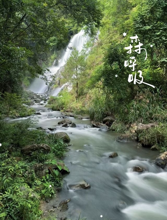 龍岩夏季遊玩必去景點！