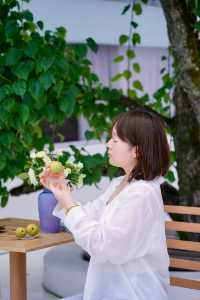 神仙居雲端上的民宿！美到失語