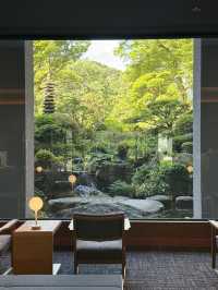 沿著伊豆回到箱根，住了兩日吉池旅館，終於明白為什麼它被說成「箱根必住」——看山看海看錦鯉，泡溫泉飲清酒，時間彷彿都慢了下來🍶