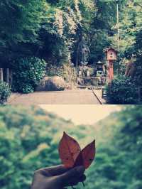 **【穿越千年古都！大阪瀧安寺靜心體驗全記錄】**  