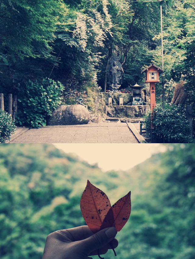 **【穿越千年古都！大阪瀧安寺靜心體驗全記錄】**  