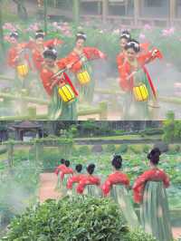 夏日炎炎好運蓮蓮🪷🪷廣州的浪漫