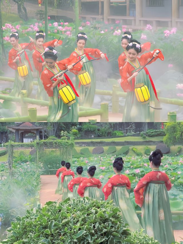 夏日炎炎好運蓮蓮🪷🪷廣州的浪漫