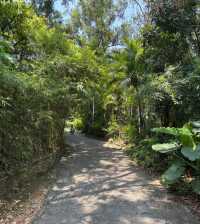 深圳南山沙河西偶遇園林瓦爾登