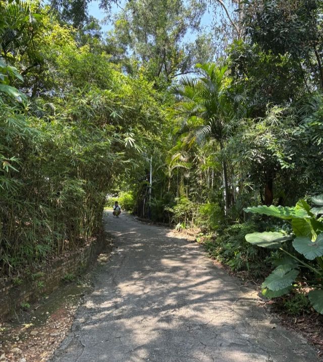 深圳南山沙河西偶遇園林瓦爾登