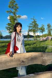 溫州周邊露營天花板｜飛龍湖公園的隱藏彩蛋！