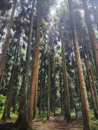 成都天台山｜川西秘境｜避暑玩水天花板！