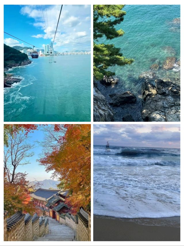 我放棄濟州島了因為這裡......