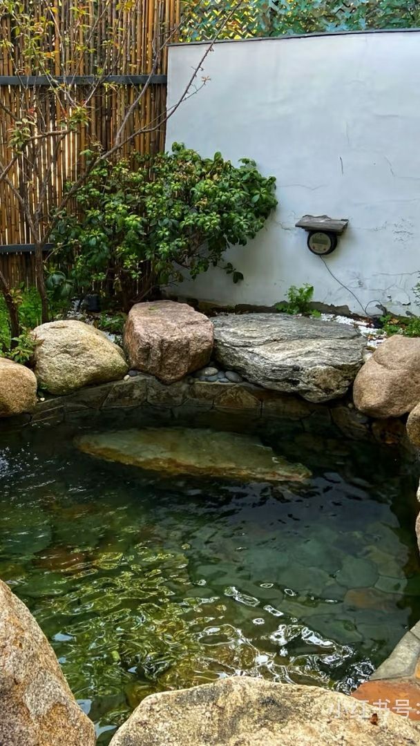青島夏日的神仙民宿｜住進山海裡泡湯看海玩到不想走～   誰懂啊家人們！今年夏天在青島挖到的寶藏民宿
