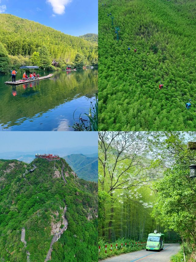 竹海秘境全攻略