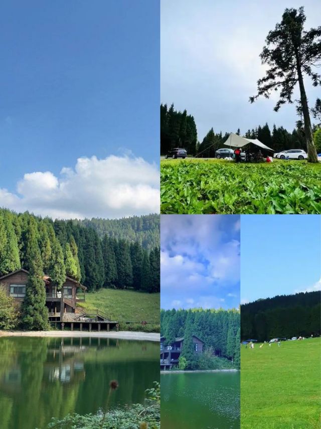 避暑就嚟武陵山國家森林公園！今個夏天最清涼嘅山野秘境