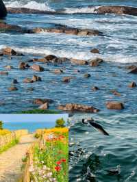 終於懂了青島的海為什麼叫海 燕兒島封神