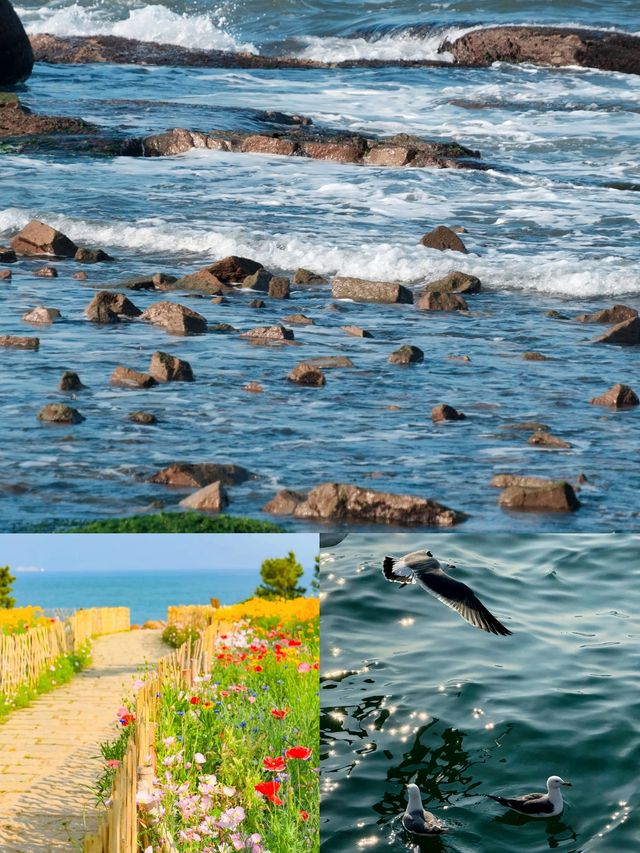 終於懂了青島的海為什麼叫海 燕兒島封神