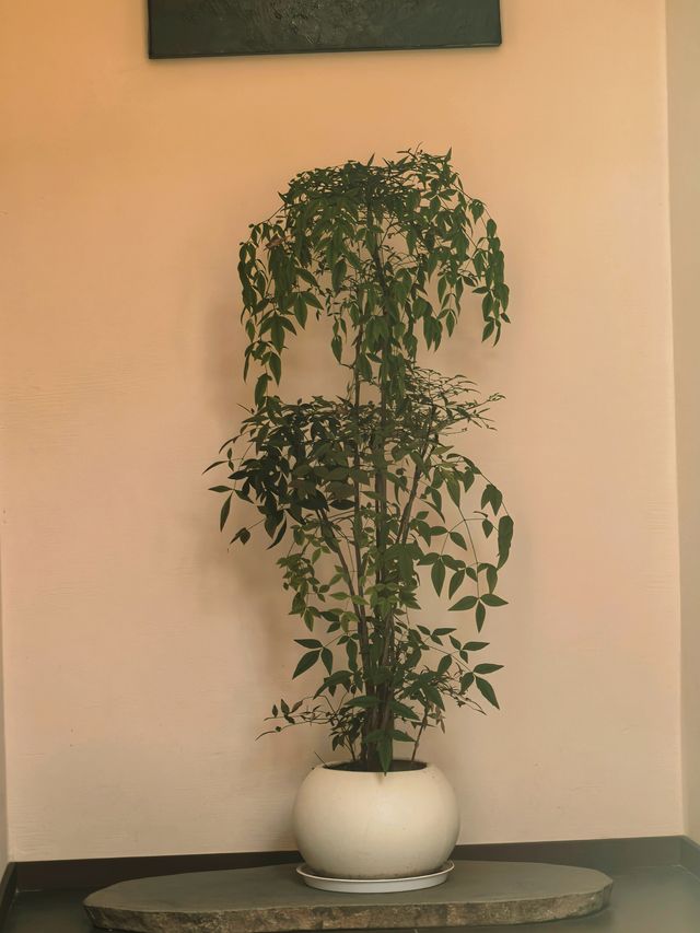 別卷了！來閱山觀景躺平才是正經事 